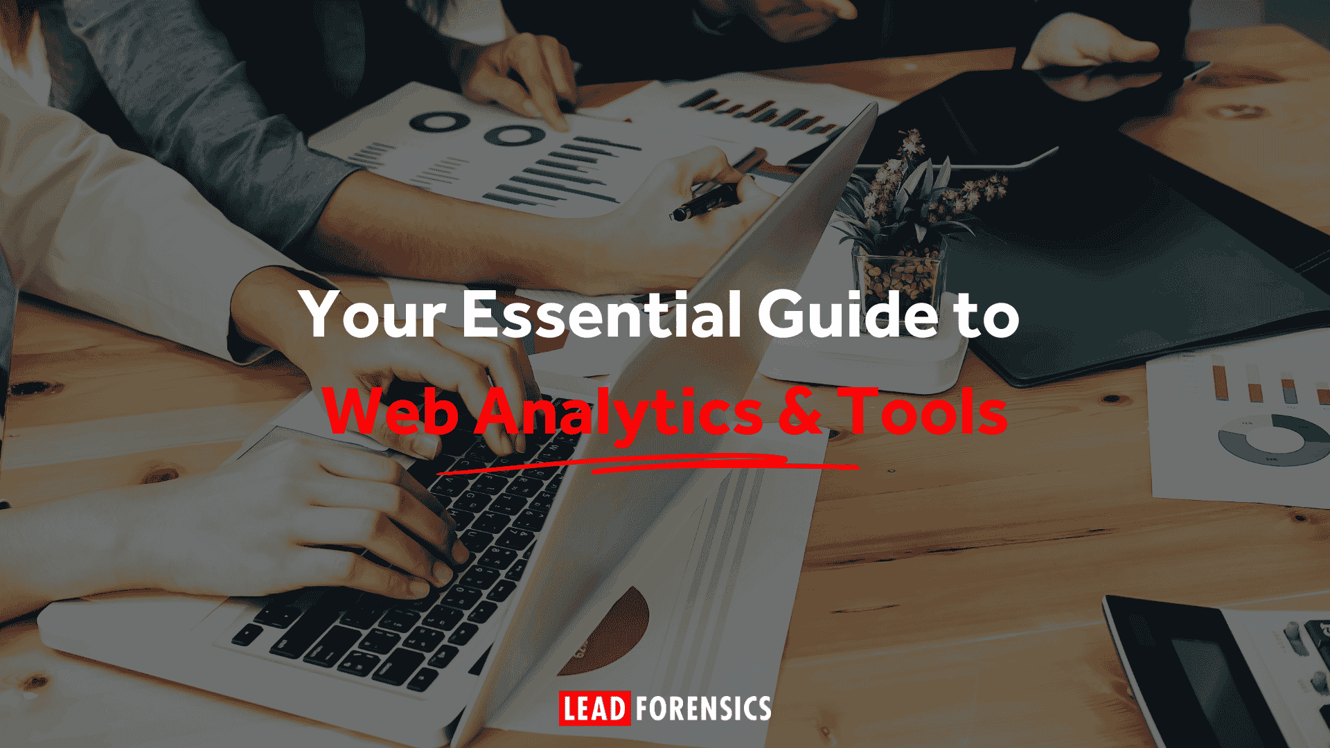 Your Essential Guide to Web Analytics & Tools