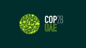 What COP28 Means for B2B Companies
