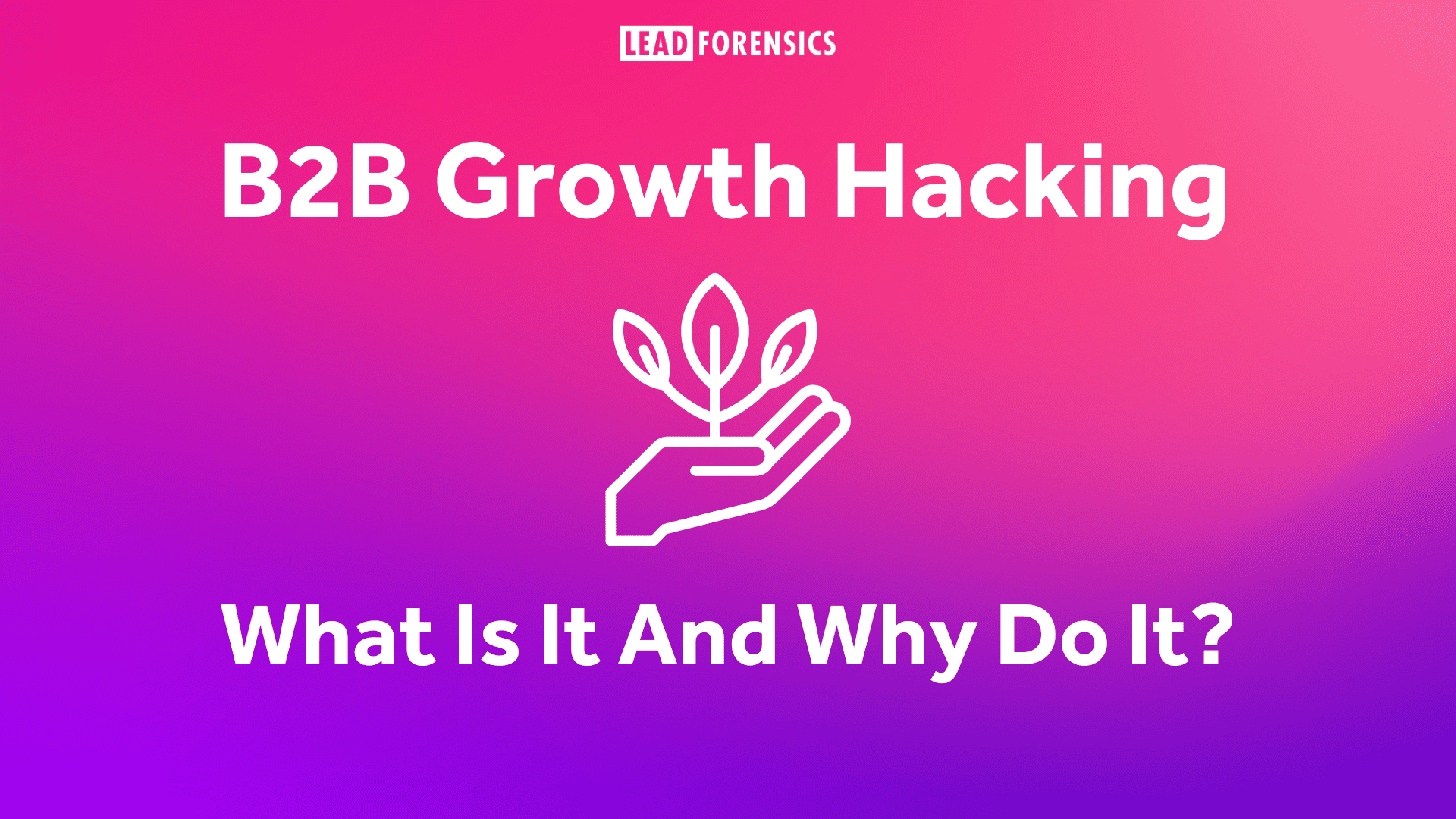 B2B Growth Hacking – What Is It And Why Do It?