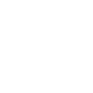 Doc Line logo