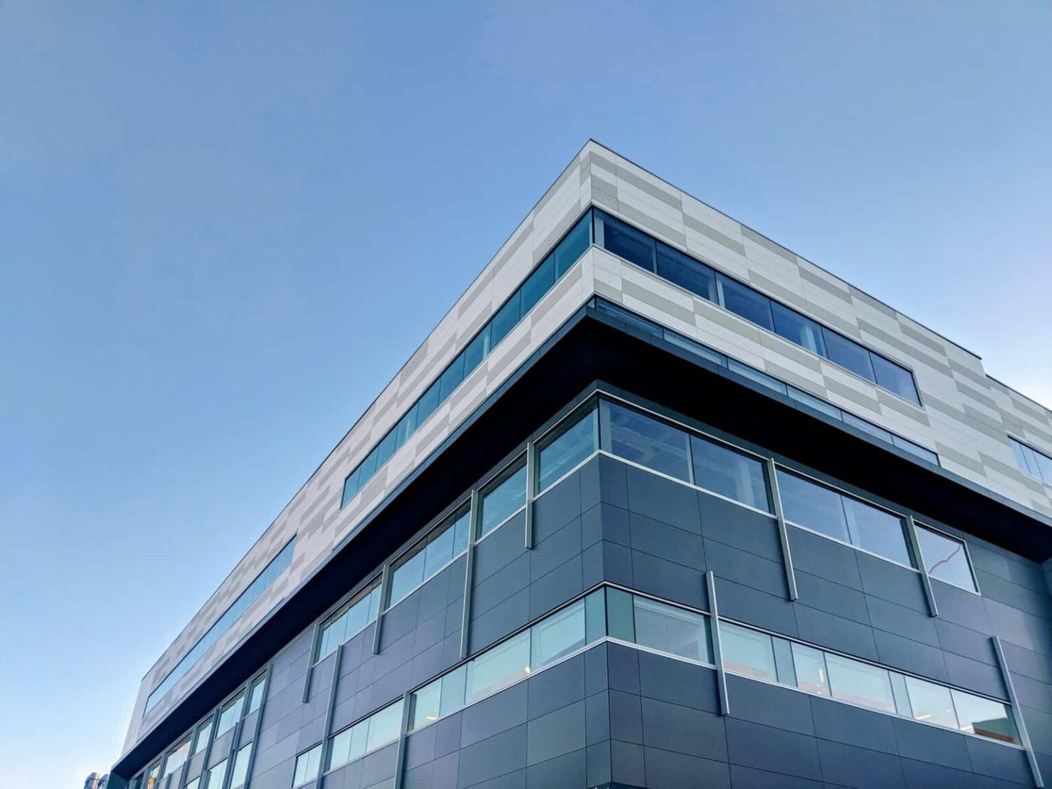 How Fluid Branding grew its business with Lead Forensics