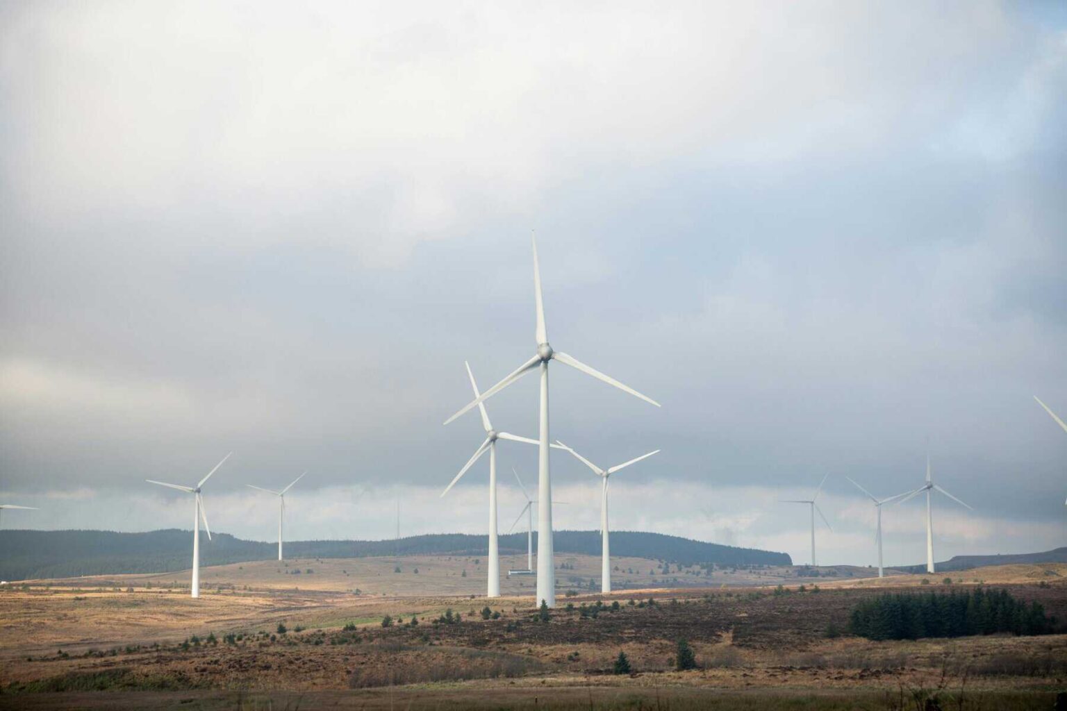 How KES Power & Light Use Lead Forensics to Drive Measurable B2B Growth